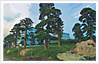 H檢測(cè)（圖）.png