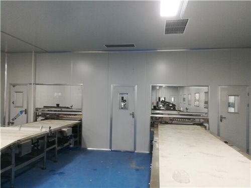 山東濟(jì)南食品廠凈化車間 從裝修施工到建材選擇的深度解析